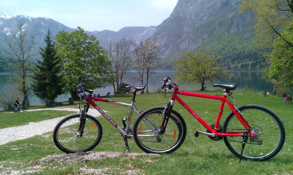 Apartment Bohinjko الغرفة الصورة